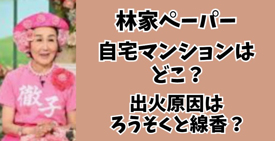 林家パー子