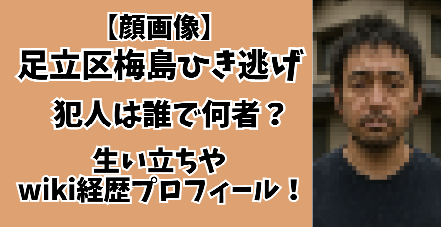 ひき逃げ犯人